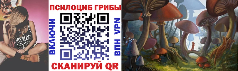 Галлюциногенные грибы MAGIC MUSHROOMS  Купить где  Ершов 